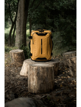 140881 yellow.
