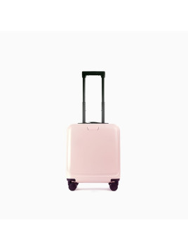 e2117 rose