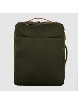 up06 olive