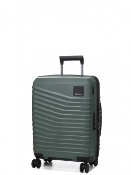 146913 olive